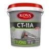 chat-chong-tham-ct11a-db-247x300