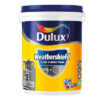 chat-chong-tham-son-dulux-weathershield-247x300