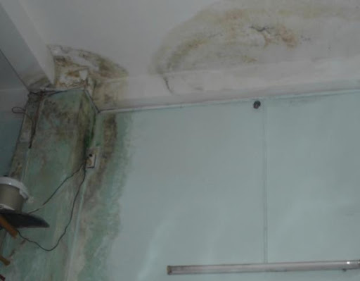 Hướng Dẫn Thi Công Sơn Chống Thấm Cho Trần Nhà